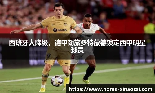新澳彩公式
