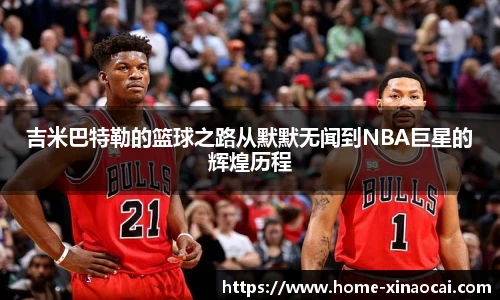 新澳彩24码