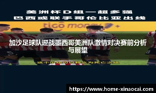 新澳彩公式