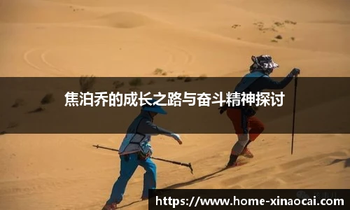 新澳彩24码
